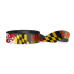 UMD Athletic Logo w/ Maryland Flag / Ribbon